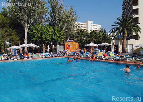 Sol Mirlos Tordos 4